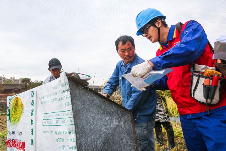 国网宁波市鄞州区供电公司：深入田间地头，助力“三秋”保丰收