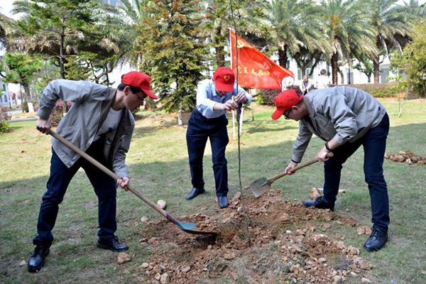 国家能源集团雁石公司组织开展义务植树活动