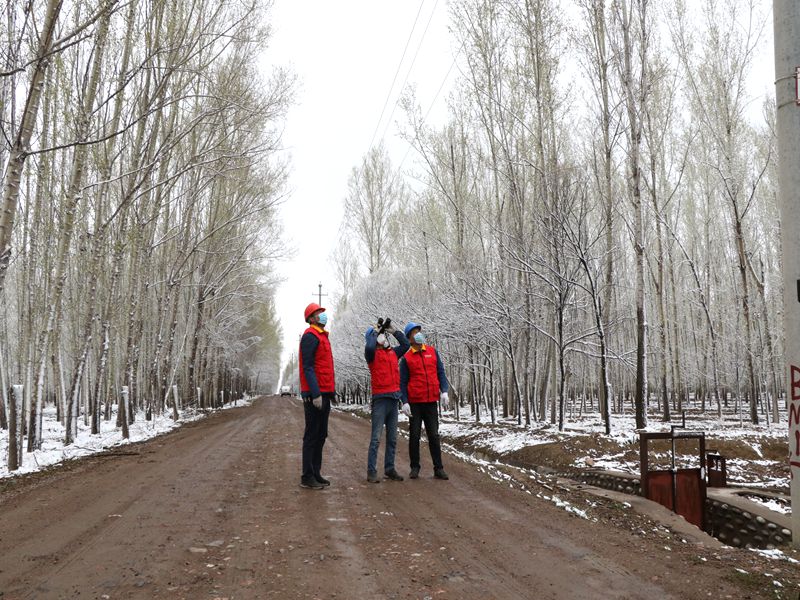 国网伊犁伊河供电公司四月飞雪，电力员工巡视线路保供电