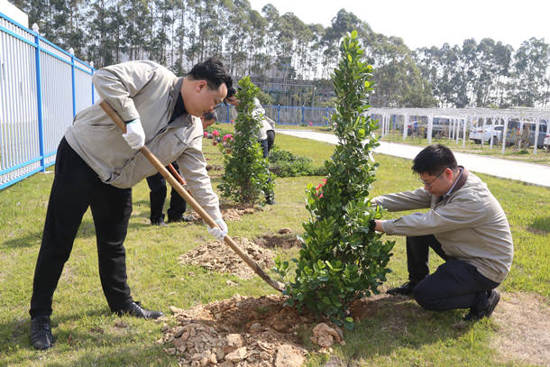 国能（泉州）热电有限公司开展植树活动共建美好家园