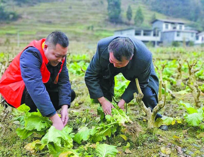 驻村第一书记马攀：扎扎实实为村民办实事解难题