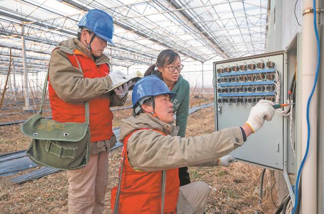 江苏省新沂市：优质服务送上门 水蜜桃富了老范村