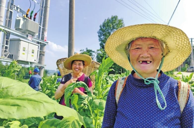 贵州黄泥塘镇独立供电区配电网项目全面建成，11877户群众用上“南网电”