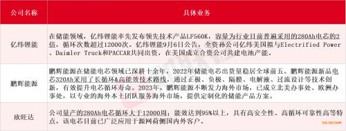 中国储能企业出海"攻略": A股磷酸铁锂厂商扛大旗 国产电芯接连斩获大单