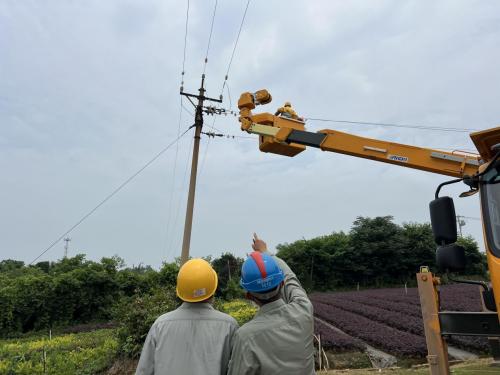 农网线路改造完工，居民夏日用电不愁