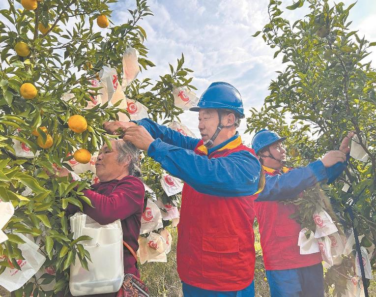 四川省西充县：供电保障进乡村 生态产业更红火