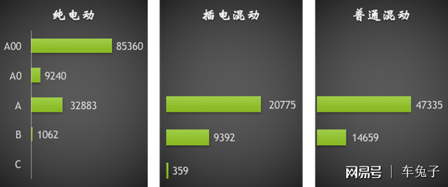新能源汽车"纯电"销量称王 插混遭遇瓶颈