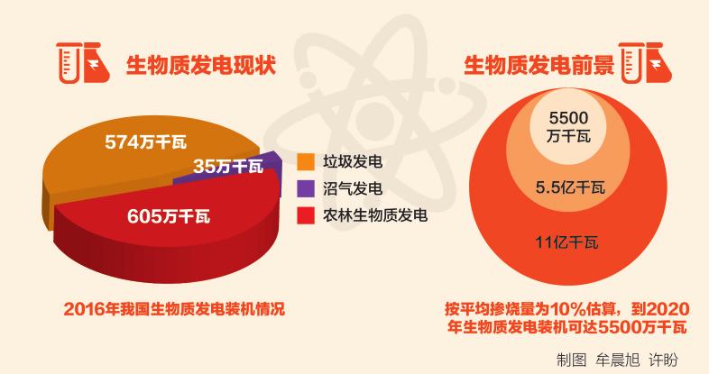 深度丨燃煤生物质耦合发电：煤电转型新路径